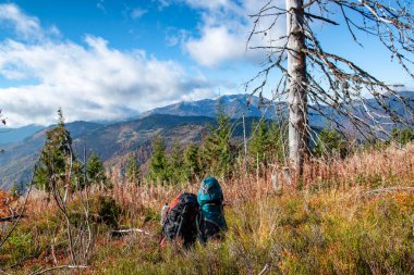 Dağlarda güzel manzaralı bir dinlenme yerinde iki sırt çantası. 
