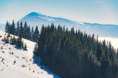 Karpatya dağlarında kış. Açık hava macerası için güzel bir hava.