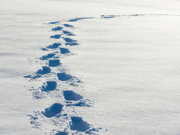 Osamělé Stopy Nekonečném Sněhovém Poli Venkovní Zimní Scéna — Stock fotografie