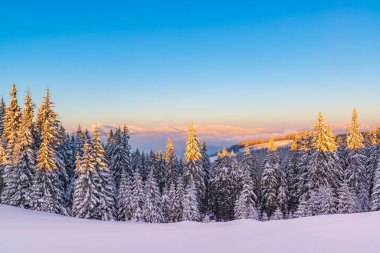 Kış yüksek çözünürlüklü duvar kağıdı. Noel kartpostalı şablonu. Dağlarda muhteşem bir kış akşamı..