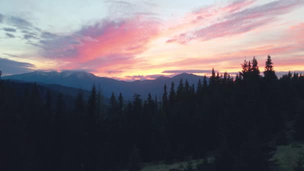 Ηλιοβασίλεμα Στο Βουνό Δάσος — Αρχείο Βίντεο