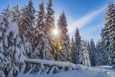 Kış peri masalı manzarası. Derin karlı gerçek bir kış. İnanılmaz Noel manzarası