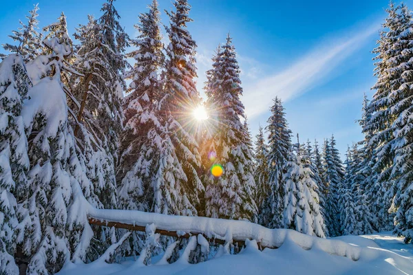 Paisaje Cuento Hadas Invierno Invierno Real Con Nieve Profunda Increíble — Foto de Stock