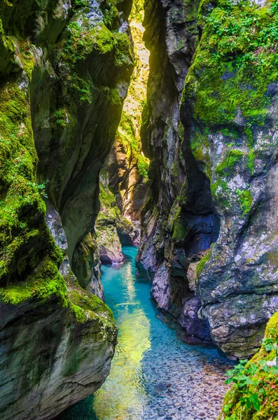 Emerald Water Moss Covered Rocks Tolminska Korita Tolmin Gorges Triglav — Stock Photo, Image