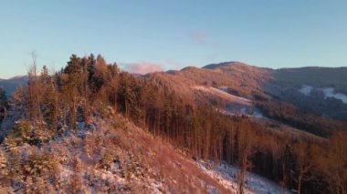 Low pass above forest meadow in winter mountains