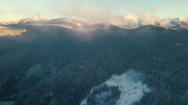 Relaxing Flight Misty Mountains Cold Winter Aerial Footage — Wideo stockowe