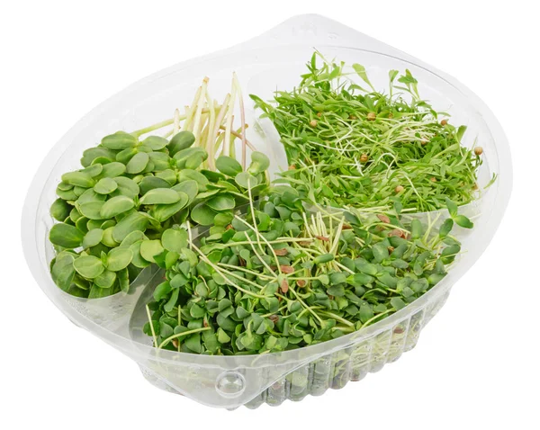 Três Tipos Diferentes Microgreens Pacote Plástico — Fotografia de Stock
