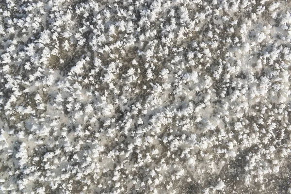 Frozen Winter Ground Texture Ice Background — Stock Photo, Image