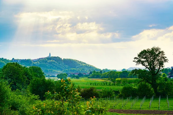 Gorgeous Sunset Vipava Valley Slovenia Belltower Small Town Hill Green — Stock Photo, Image