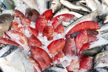 Mısır pazarında kırmızı orfoz balığı, arka planda kızıl deniz yemekleri.