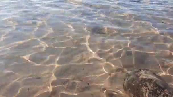 きれいな海の水の上の太陽のフレアと波紋 リラックスしたビデオ — ストック動画