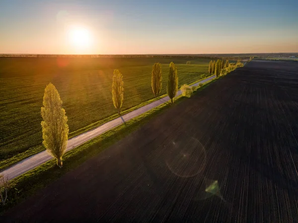 Campi Aratura Grano Verde Fresco Vista Aerea Primavera Ucraina — Foto Stock