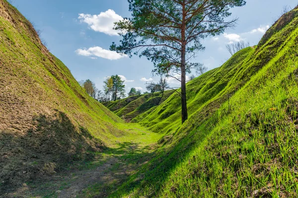 Colinas Relvadas Primavera Natureza Acordando Campo — Fotografia de Stock