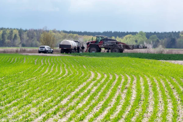 Spring Green Field Agricultural Machinery Background Focus Young Wheat — Photo