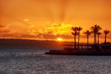 Kızıl Deniz 'de güzel bir gün doğumu Palmiye siluetleriyle