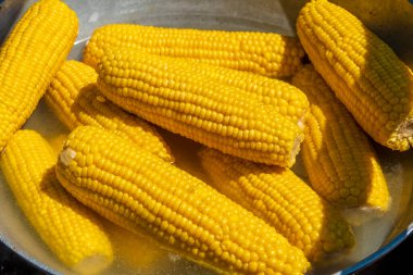 A pot full of boiled corn cobs. Tasty food on the outdoor picnic
