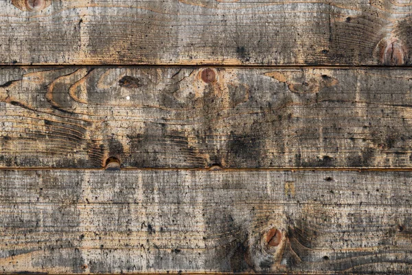 Old rustic wood texture. Old spruce fence background