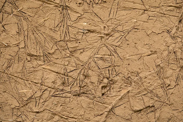 Wet cracked clay texture. Raw terracotta background