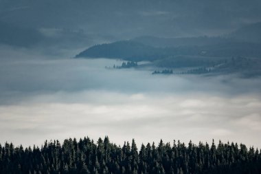 Sea of clouds in the mountain valley. Artisticalpine landscape