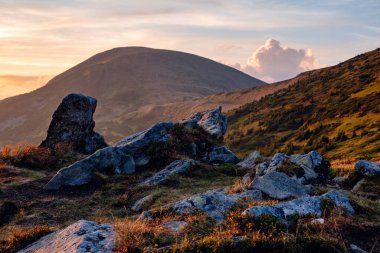 Scenic landscape in Carpathian mountains, Ukraine. 
