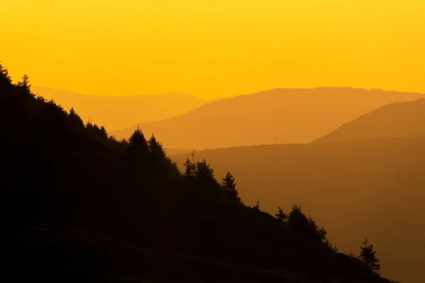 前景には濃い斜面と木々が広がる夕日のカラフルな山々 — ストック写真