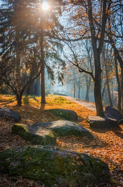Scenic autumn park. Colorful fall scene in Uman, Ukraine. Vertical photo