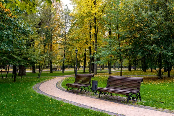 秋天公园的一条长椅铺满黄叶的人行道 — 图库照片