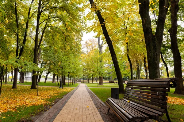 Bench Een Wandelpad Het Herfststadspark — Stockfoto