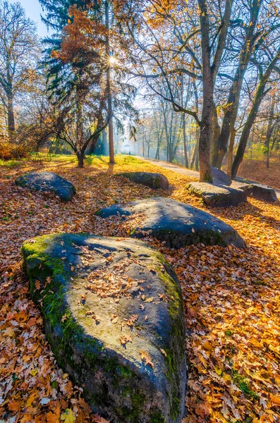 Zonnig Herfstpark Met Omgevallen Bladeren Pittoreske Stenen Gele Bomen Verticale — Stockfoto