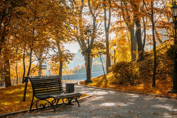 Indiase Zomer Het Park Bench Het Prachtige Herfstpark — Stockfoto