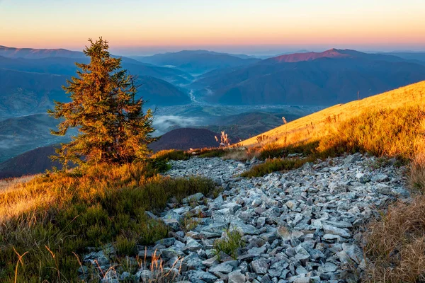 Paesaggio Montano Panoramico Fiume Pietra Con Valle Nebbiosa Incredibile Vista — Foto Stock