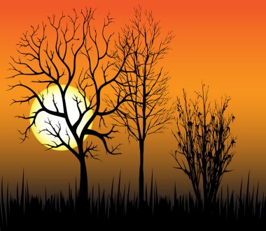 Sunset trees.vector zemin üzerine