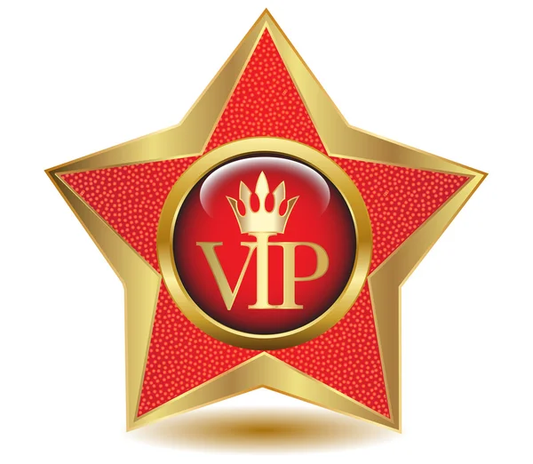 Gold star VIP icon. Vector — Stock Vector