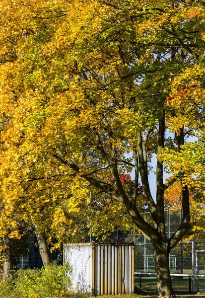 Temporada de otoño — Foto de Stock