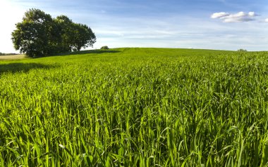el değmemiş doğası