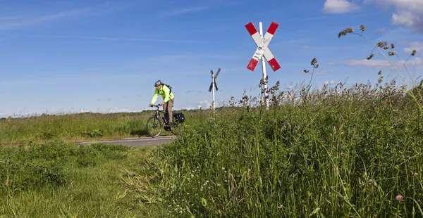 Radfahrer in der Natur — Stockfoto