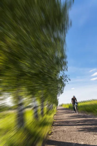 Велогонщики на природе — стоковое фото