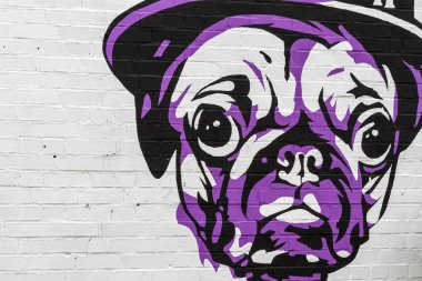 graffitti köpek mor