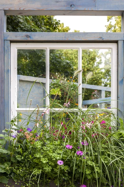 Gartenblumen im Fenster — Stockfoto