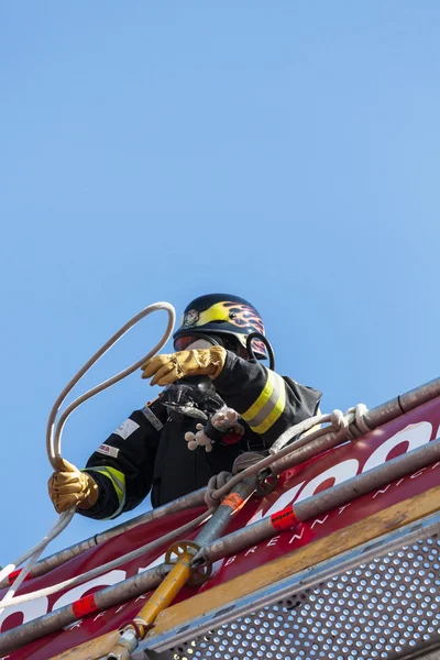 Пожарная бригада — стоковое фото