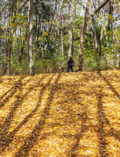 Autunno — Foto Stock