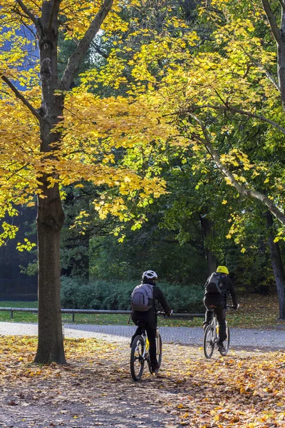 Herfst — Stockfoto