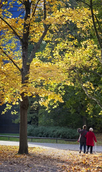 Otoño — Foto de Stock