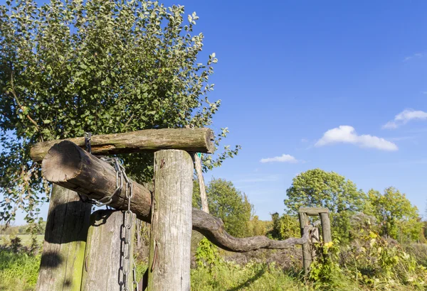 Barriere im Wald — Stockfoto