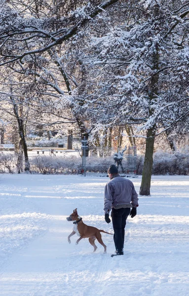 Wintertijd — Stockfoto