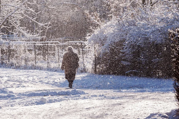 겨울 시간 — 스톡 사진