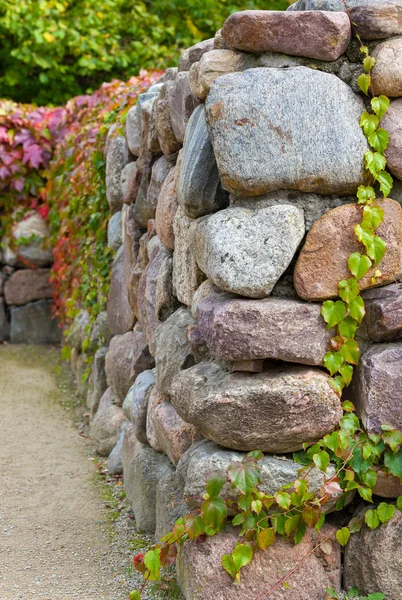 Mur de roche — Photo