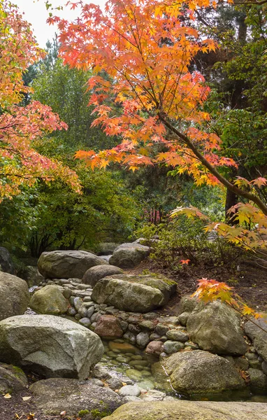 Autunno — Foto Stock