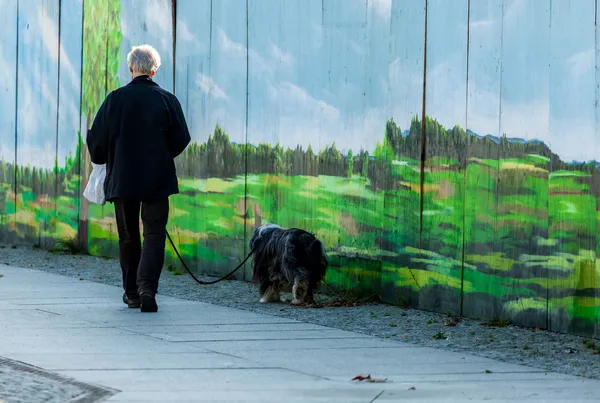 Camminare con il cane — Foto Stock