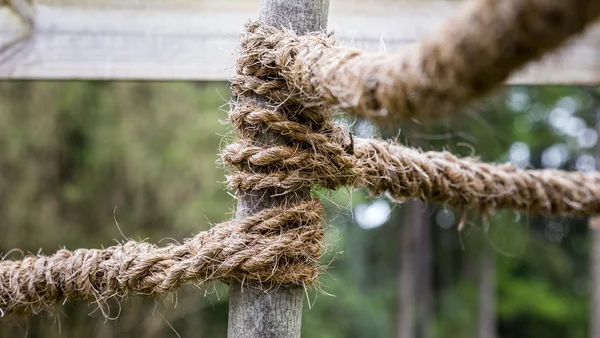 麻から作られるロープ — ストック写真